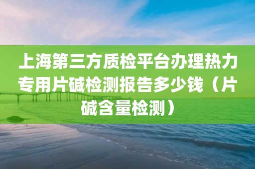 上海第三方质检平台办理热力专用片碱检测报告多少钱（片碱含量检测）