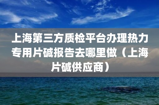 上海第三方质检平台办理热力专用片碱报告去哪里做（上海片碱供应商）