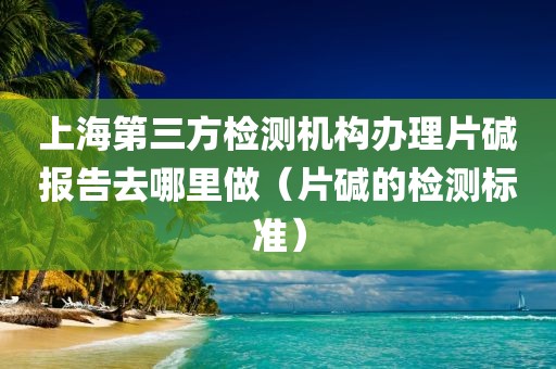 上海第三方检测机构办理片碱报告去哪里做（片碱的检测标准）