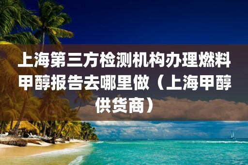 上海第三方检测机构办理燃料甲醇报告去哪里做（上海甲醇供货商）